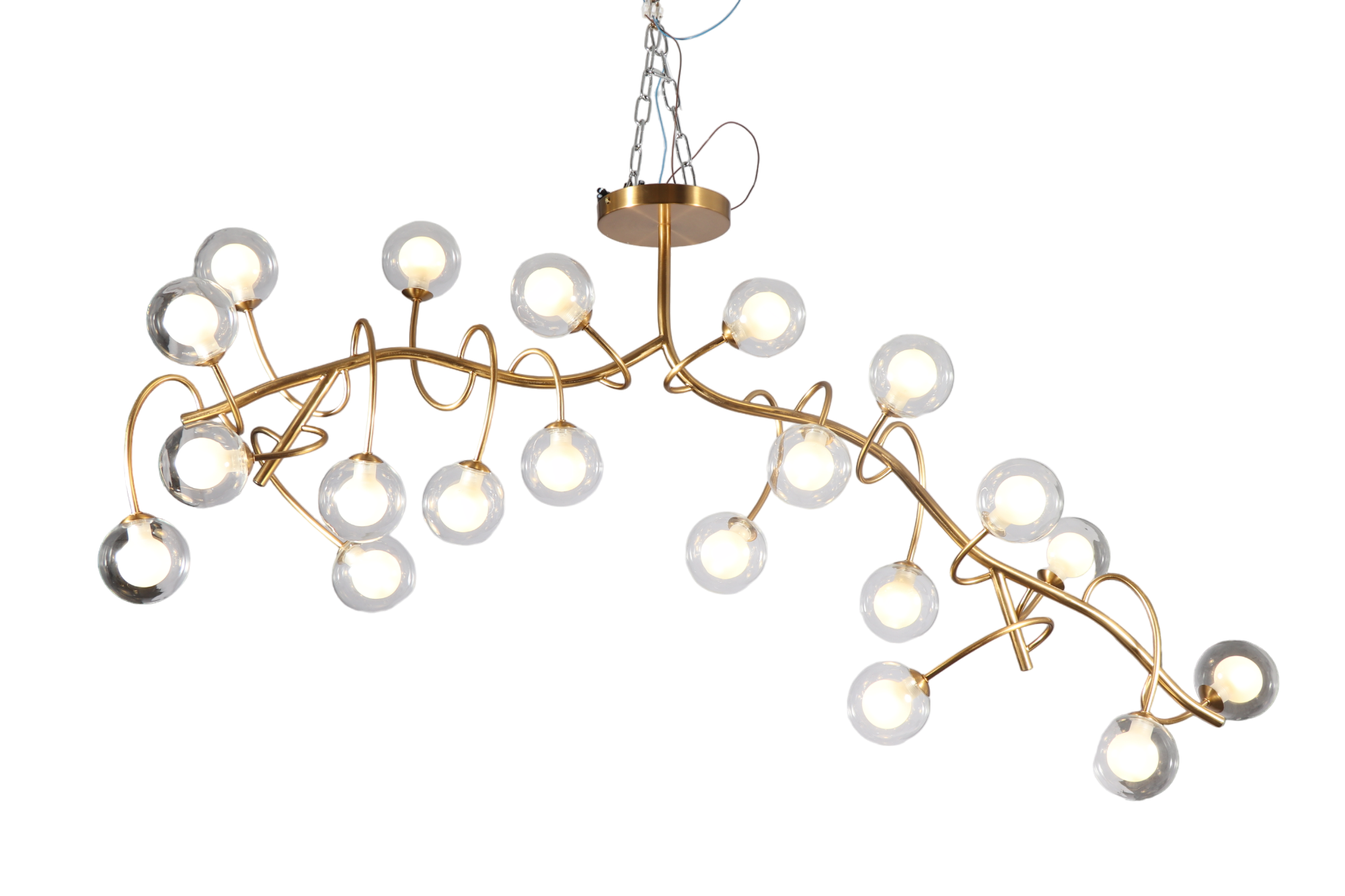 Photoroom-20240314_115635